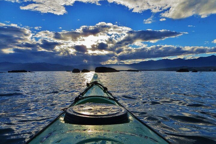 Kaikōura Day Tour With Kayak Experience From Christchurch - Photo 1 of 12